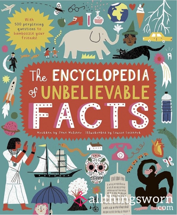 The “Insecurity Encyclopaedia” Experience 🤭