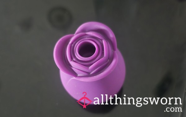 The Irresistible Rose!