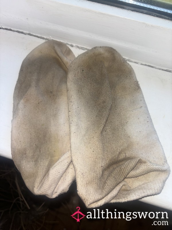 The Most Disgustingly Sweaty Worn Socks 🤤