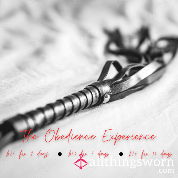 The Obedience Experience — Your Submission Starts Here