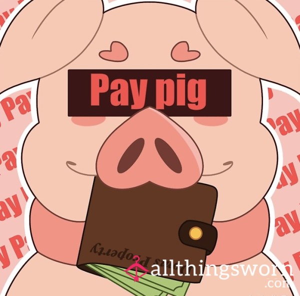 The Paypig Experience 🐷💸 For Losers Who Live To Spoil
