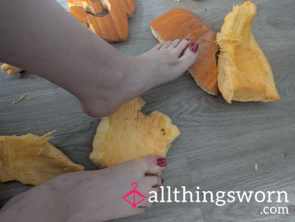 The Pumpkin Collection