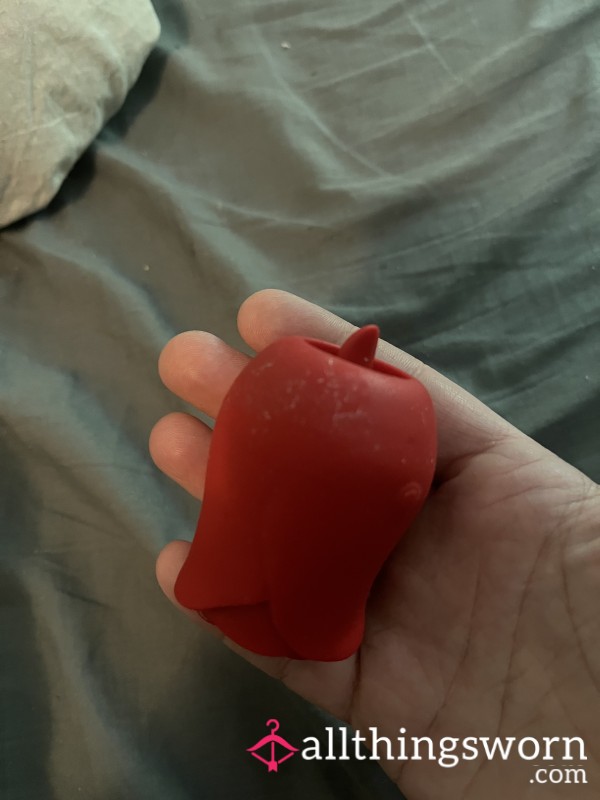 The Well Loved Rose