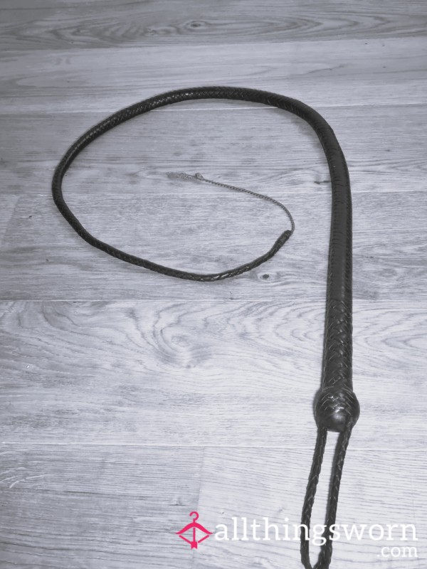 The Whip Speaks – 26 Seconds Of Real Control