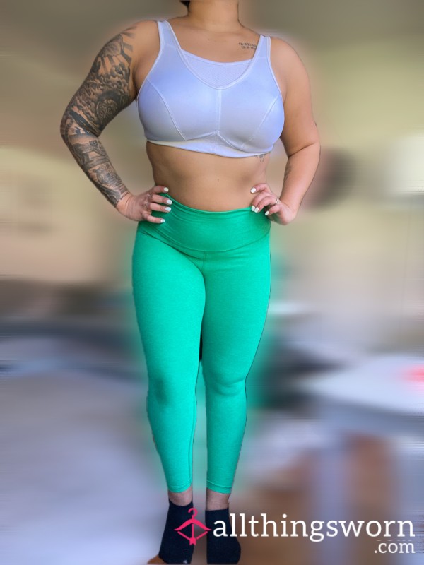 The Workout Experience 💪🏼