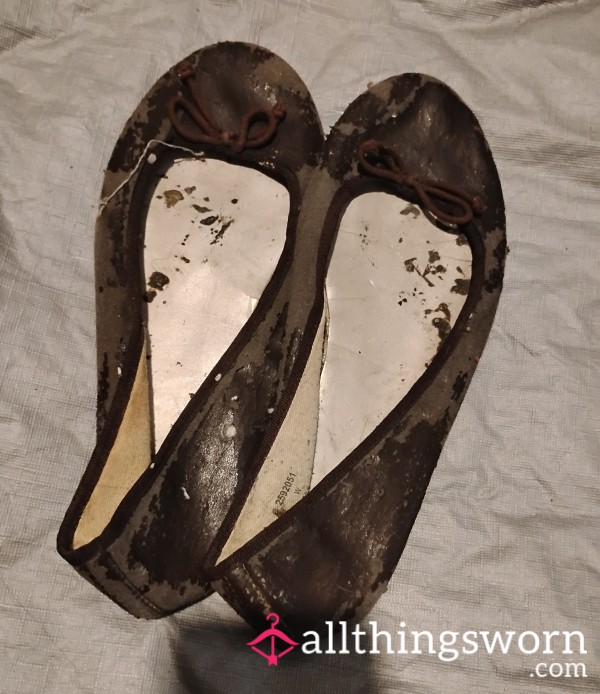 These P**r, P**r Brown Flats