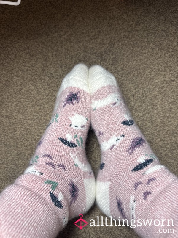 Thick Bed Socks Worn All Around The House All Day