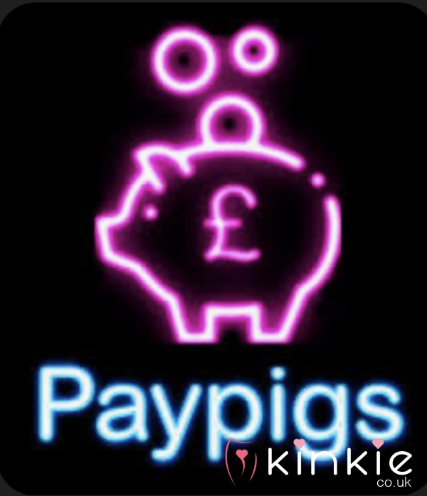 New Year… New Pigs…