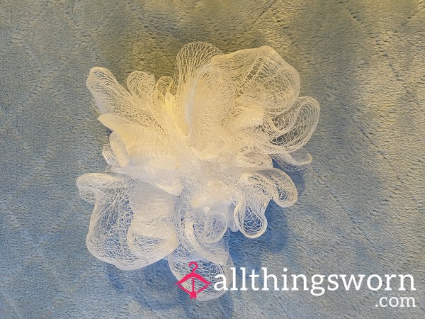 💦 Used Loofah Dirty Still Wet