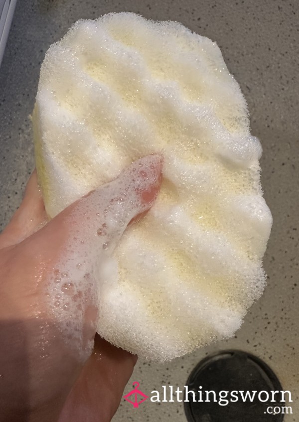 This Sponge Has Been In Some Naughty Places