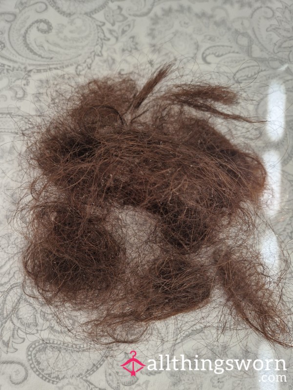 Hair From My Hairbrush 🤎
