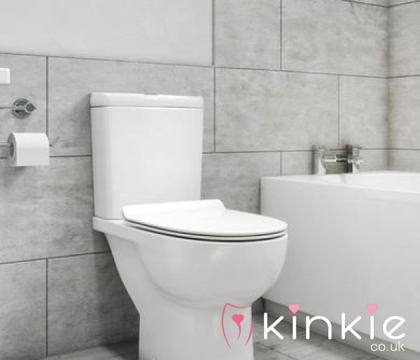 Tinks Daily Toilet Diary 🚽🧻
