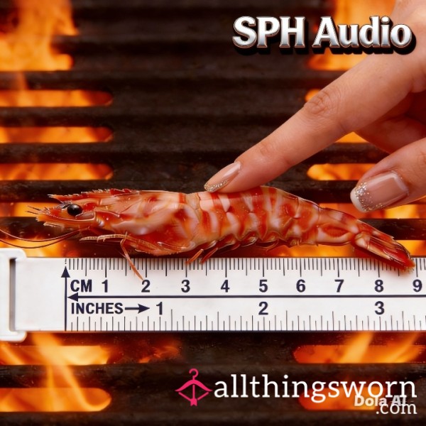Tiny D*ck Humiliation, SPH Audio