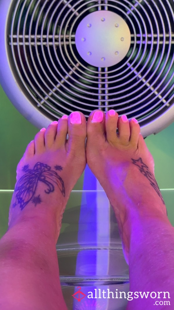 Tiny Little Clean, Smooth, Lickable Size 2 Feet!