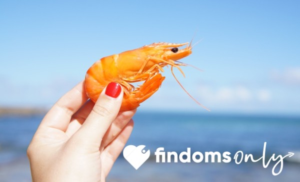 Tiny Shrimp Tax
