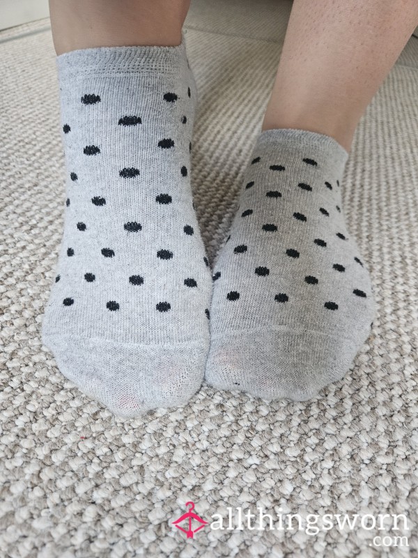 Today's Socks