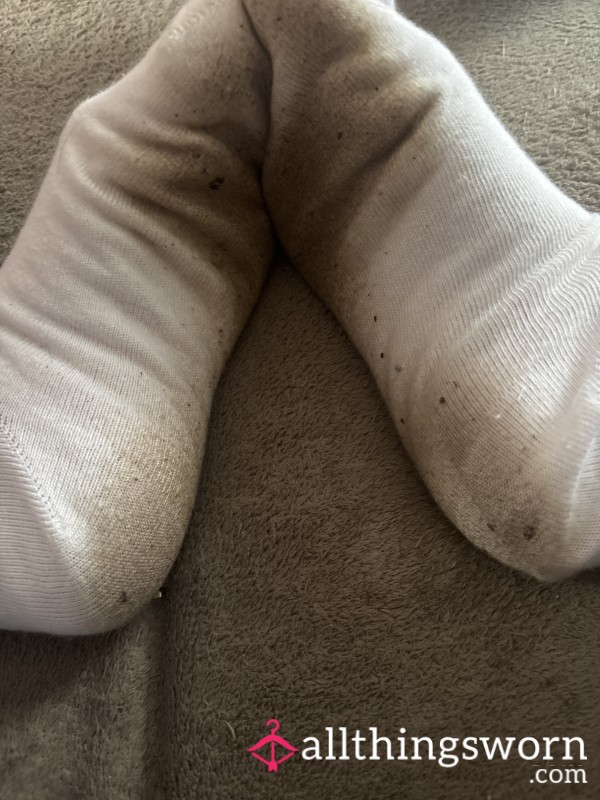 Today’s Socks