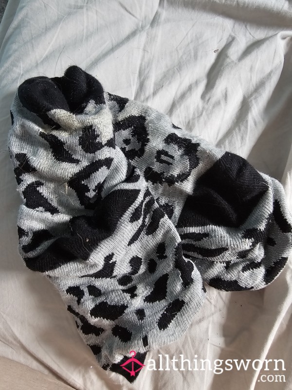 Todays Socks - New On Today....