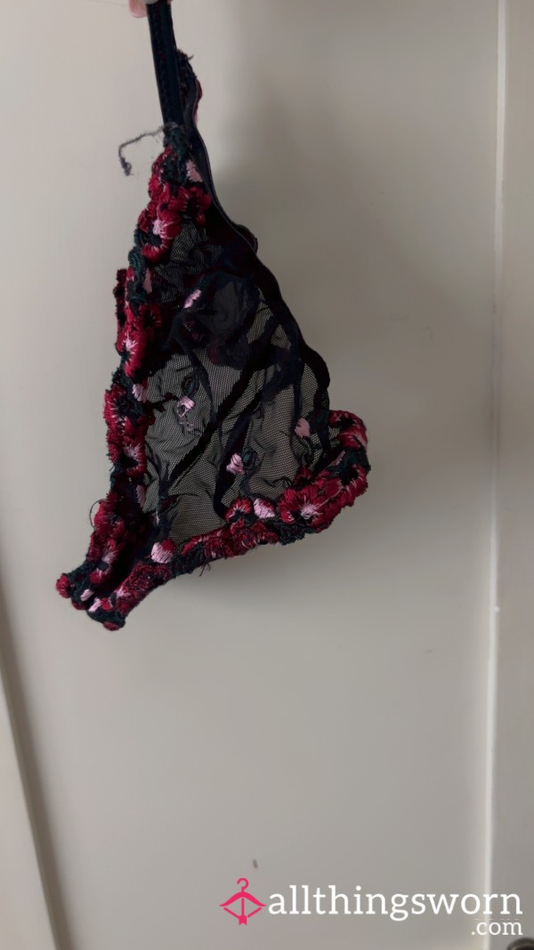 Today’s Sweaty Worn Knickers