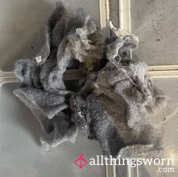 Today’s Tumble Dryer Fluff From A Weeks Worth Of Laundry 🧺👅 P**p The Hair And Other Bits 👅💋