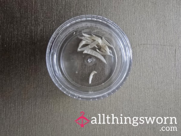 Toe Nail Clippings
