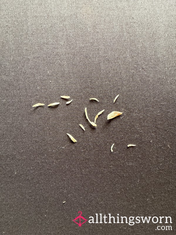 Toe Nail Clippings