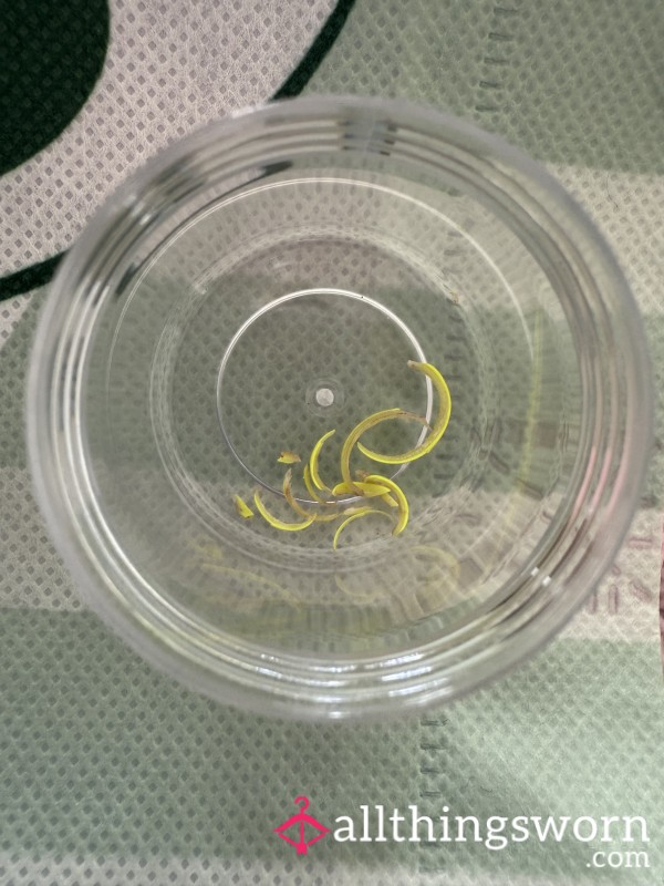 Toe Nail Clippings