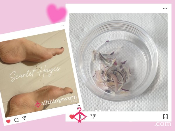 Toe Nail Clippings