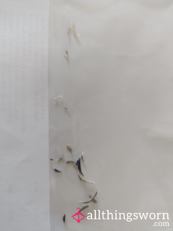 Toe Nails Clippings (cut 30/4/25) Blue Polish Still On