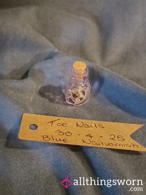 Toe Nails Clippings (cut 30/4/25) Blue Polish Still On