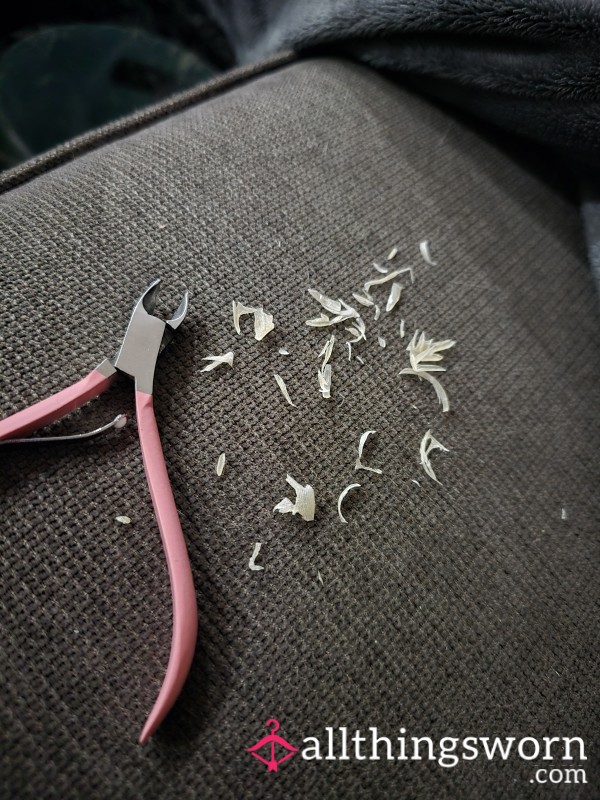Toenails And Toe Skin Clippings By Violet