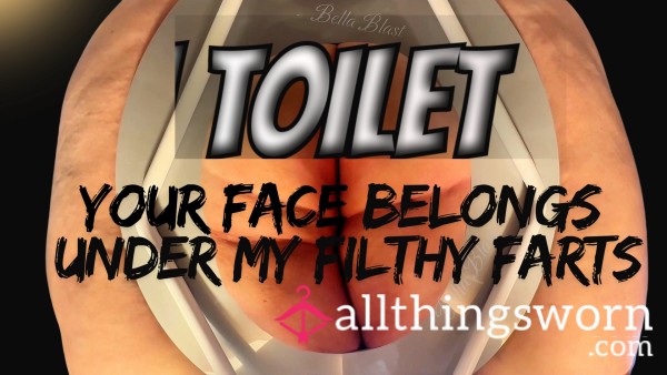 Toilet Your Face Belongs Under My Filthy Farts