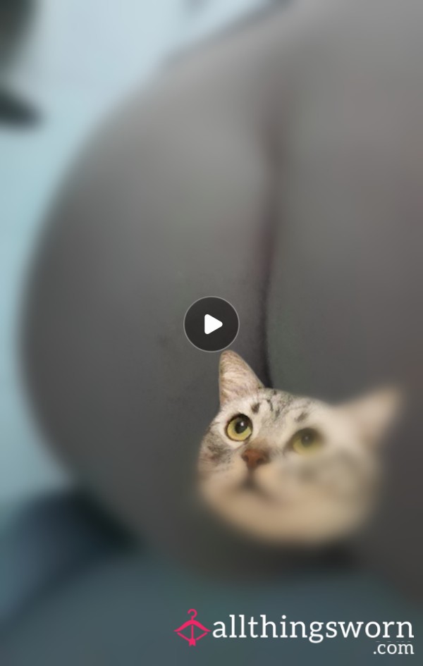 Toilet Births 💨 Video 1+1 Gift😈