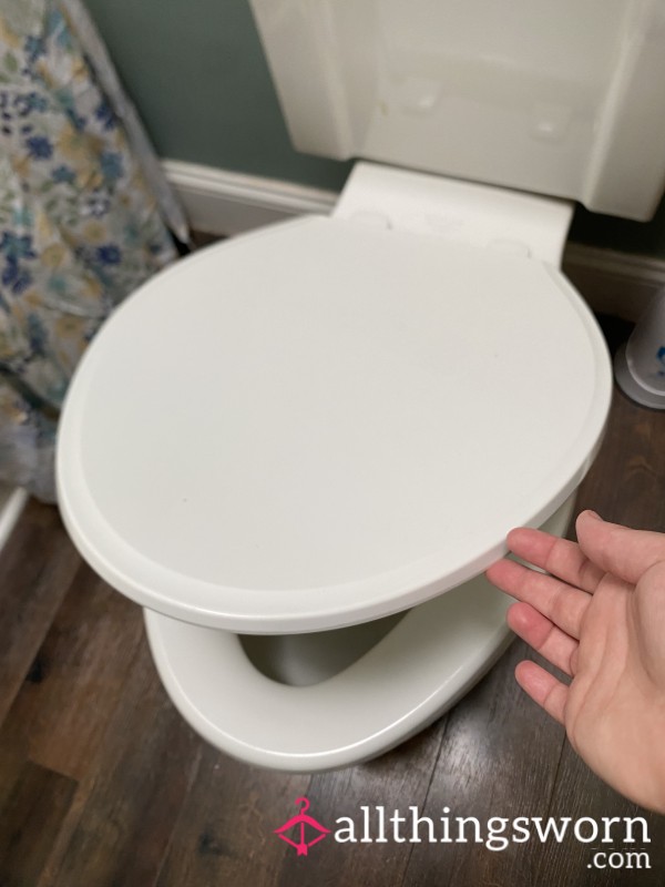 Toilet Drive