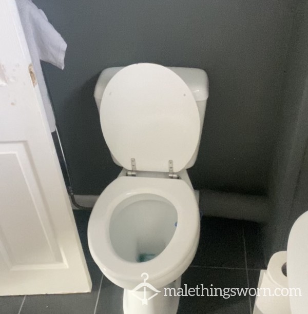 Toilet Drive - Lifetime Access