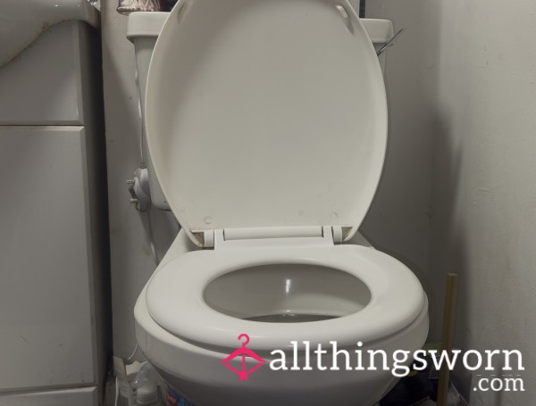 Toilet Fetish Video: Watching It Come Out