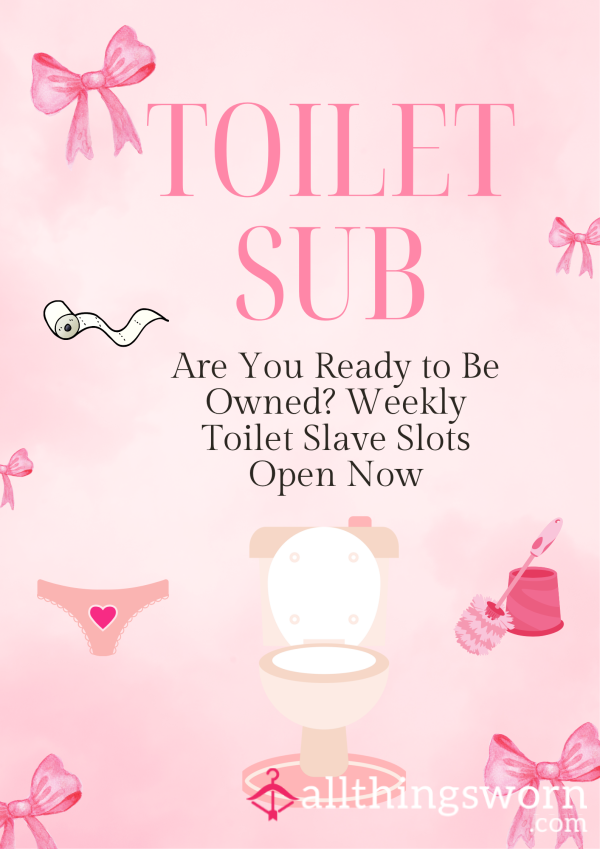 Toilet Slave