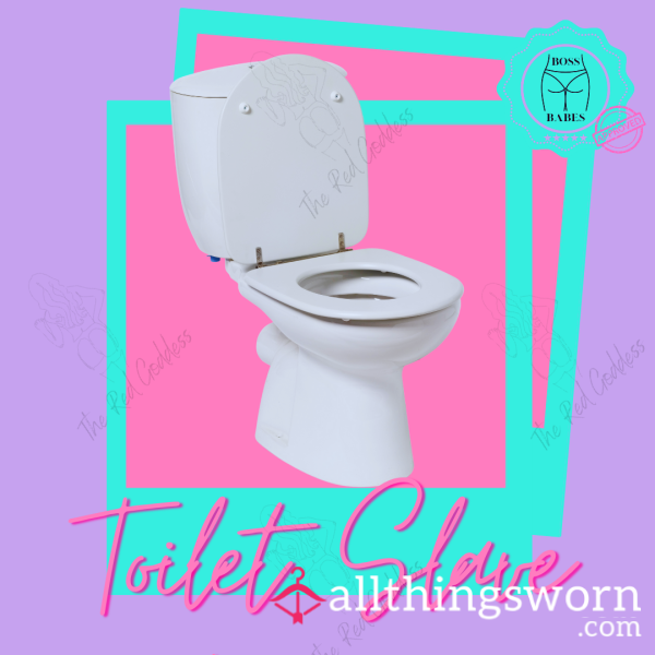 🚽 Toilet Slave 🧎🏽‍♂️