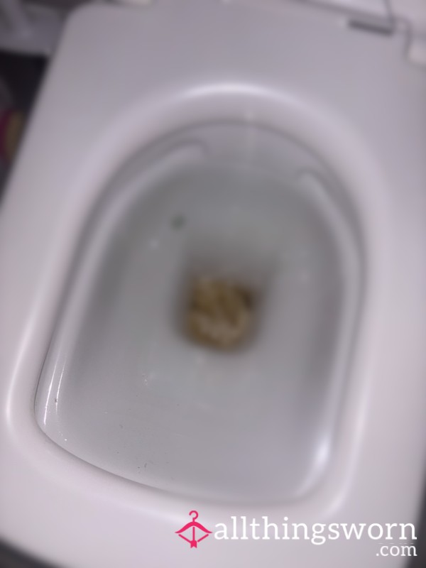 Toilet Slave Needed