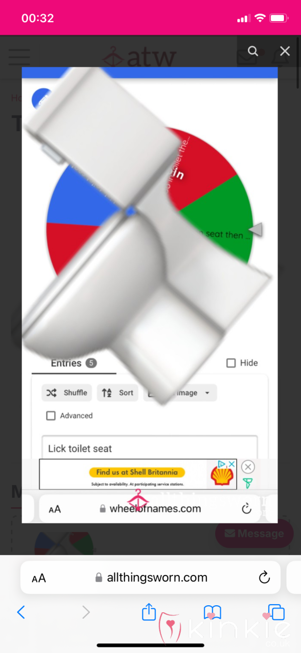 Toilet Task Wheel Spin