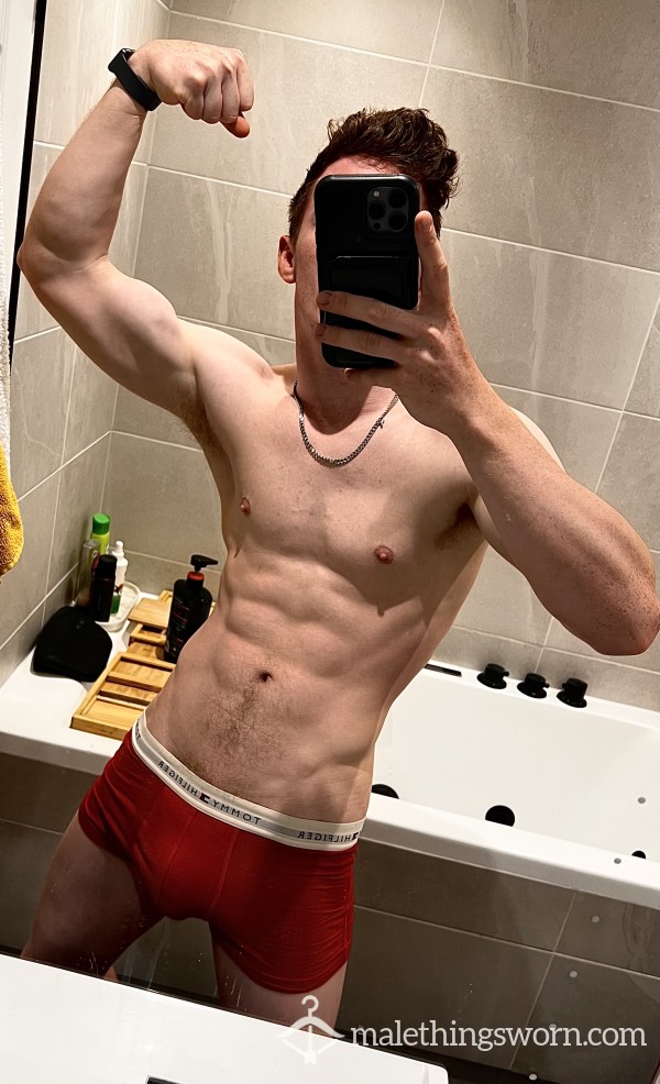 Tom Hilfiger Red Boxer S