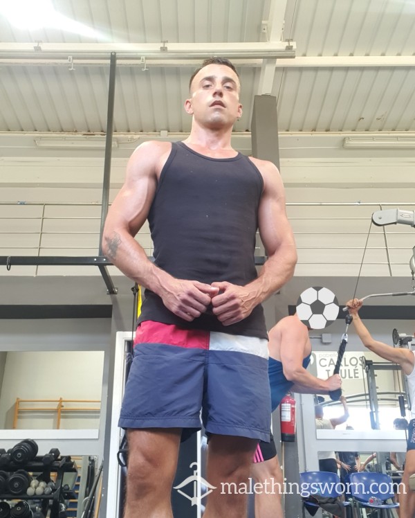 Tommy Hilfiger Shorts  Gym Shorts Swim Shorts