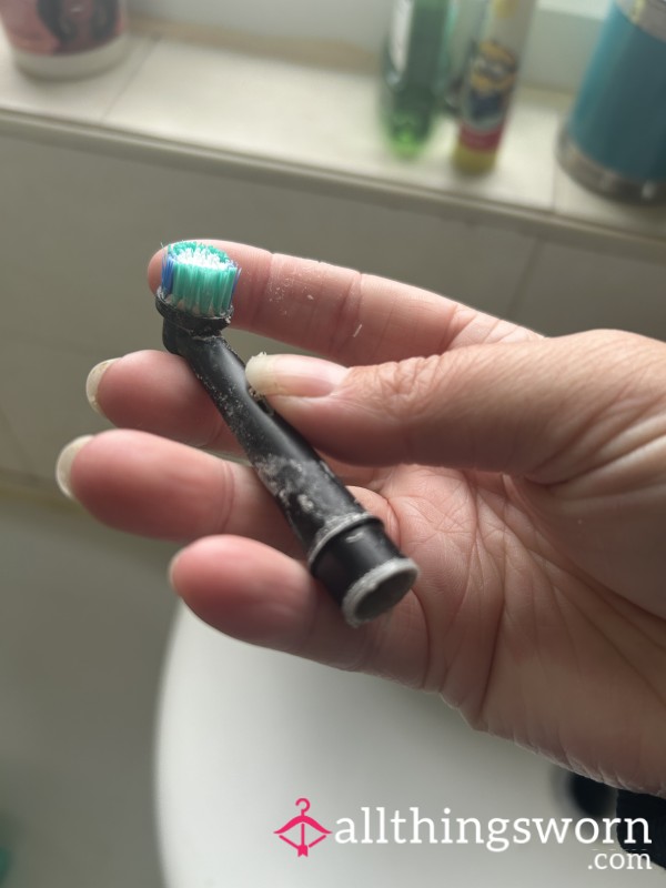 Toothbrush Head
