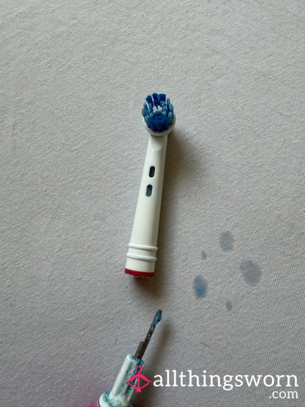 Toothbrush Head