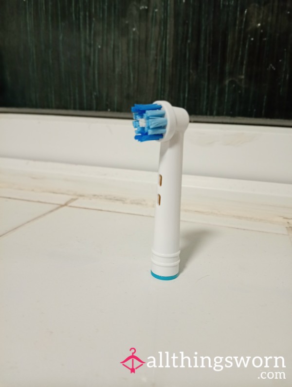Toothbrush Head