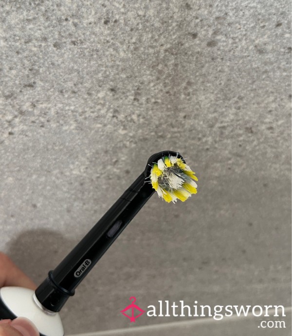 Toothbrush Head