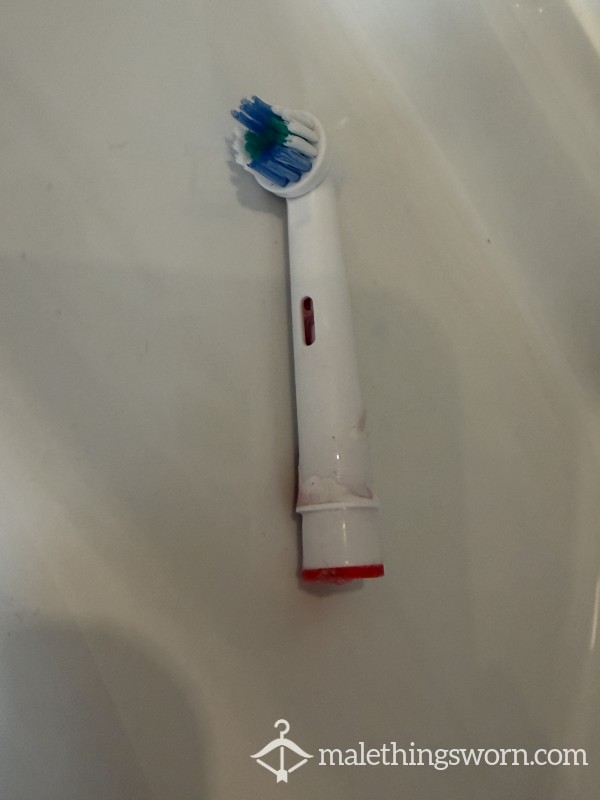 Toothbrush Head