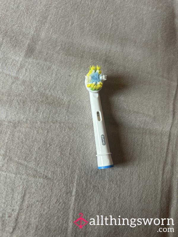 Toothbrush Head