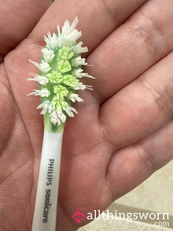 Toothbrush Head Shipping Included