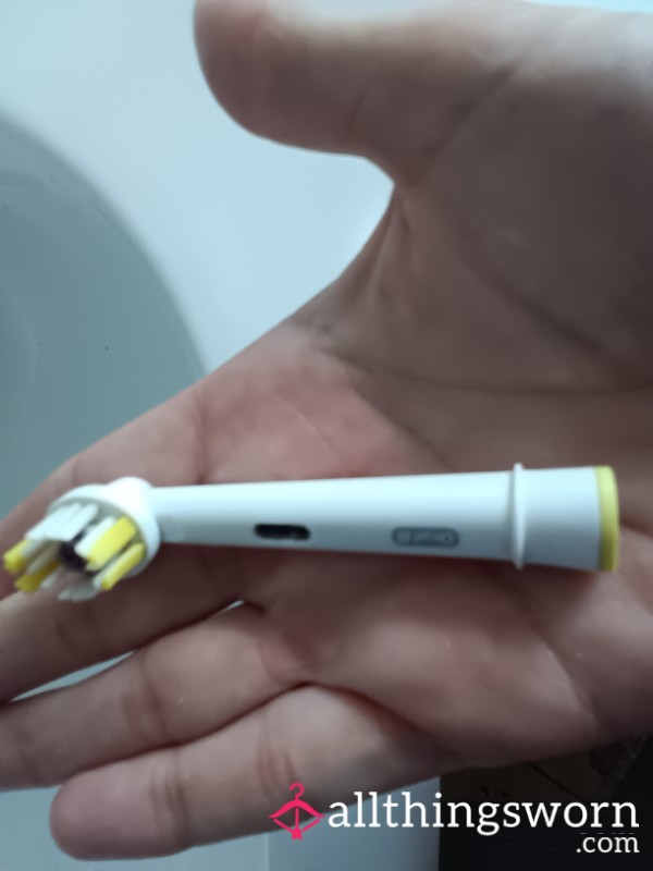 Toothbrush Head